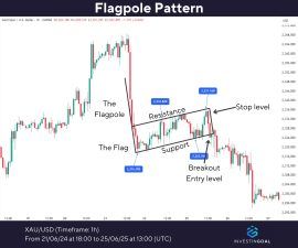 Flag Pattern: Meaning, How it Works, Types, and Trading